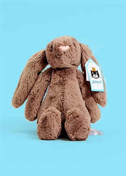 Bashful Blush Bunny loves to snuggle, and her super soft peachy fur makes her the perfect cuddle buddy! This lop-eared lovely will make a wonderful addition to bedtimes and adventure times all over the world.